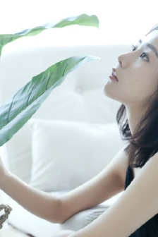 色戒2007在线